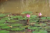 Национальный парк Кхао Пра Тео (Khao Phra Thaeo National Park)