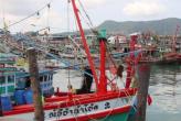 Борьба с незаконным выловом рыбы и пиратством