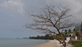 Пляж Липа Ной (Lipa Noi) или Тонг Янг (Tong Yang). Самуи
