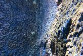 Океанариум в Паттайе или Подводный мир Паттаий