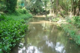 Национальный парк Кхао Пра Тео (Khao Phra Thaeo National Park)