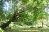 Национальный парк Кхао Пра Тео (Khao Phra Thaeo National Park)