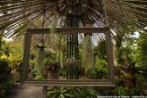 Ботанический сад на Пхукете (Phuket Botanic Garden)