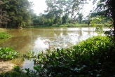 Национальный парк Кхао Пра Тео (Khao Phra Thaeo National Park)