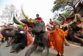 Национальный день слона в Тайланде