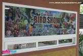 Phuket Bird Paradise - 11.12.13