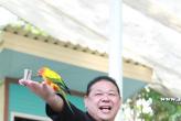 Phuket Bird Paradise - 11.12.13