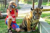 На Пхукете откроется парк «Королевство тигров»