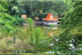 Зоопарк Khaow Kheow в Паттайе