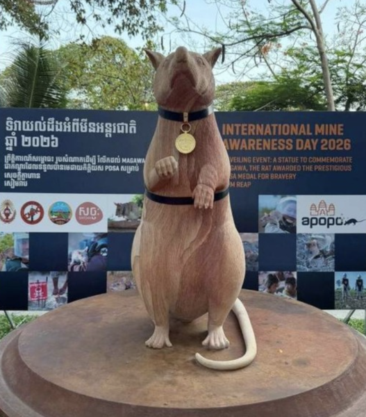 В Камбодже открыли первый в мире памятник крысе-саперу