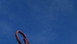 Декорации к Хеллоуину установили в Патонге