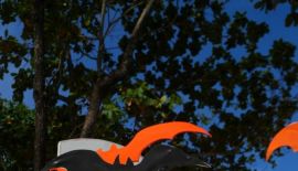 Декорации к Хеллоуину установили в Патонге